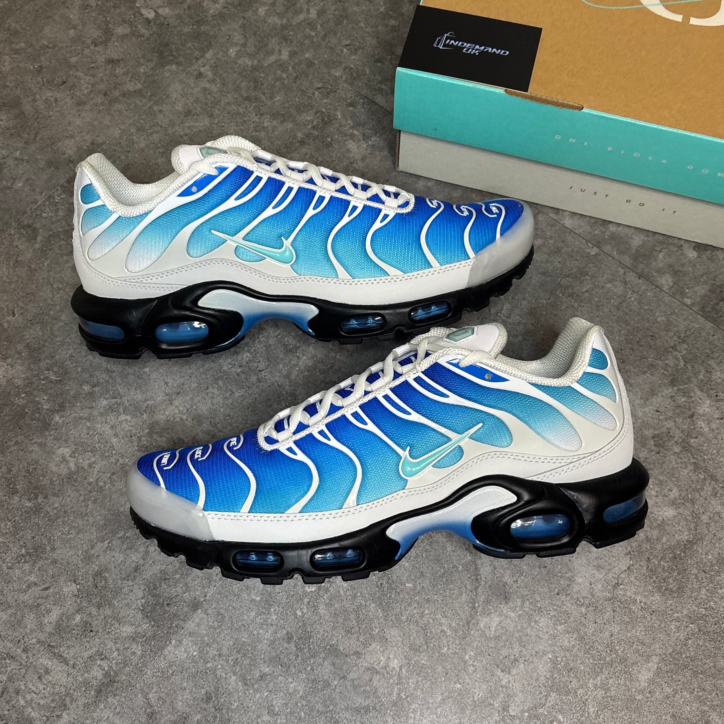 Air Max Plus TNs One Block Down Blue