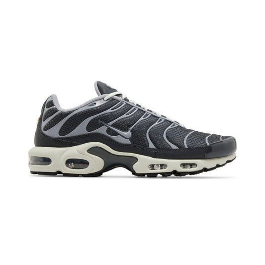 Air Max Plus TNs Iron Ore