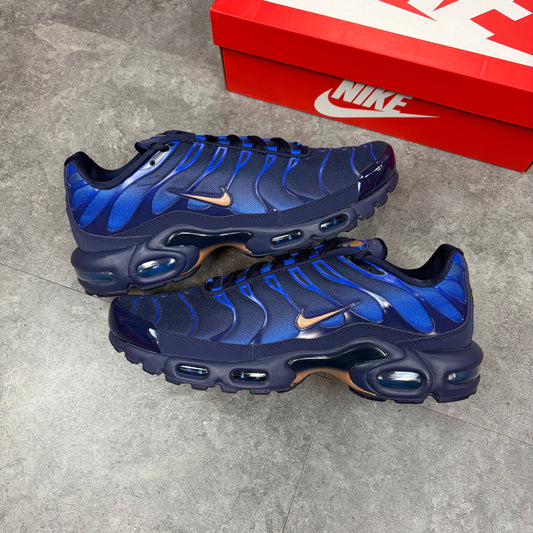 Nike Air Max TN ‘French Football Federation’