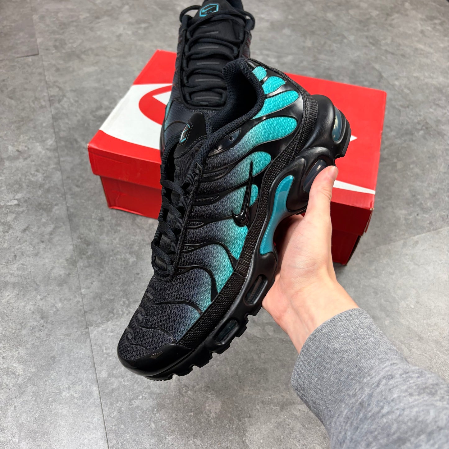 Air Max TN Dusty Cactus