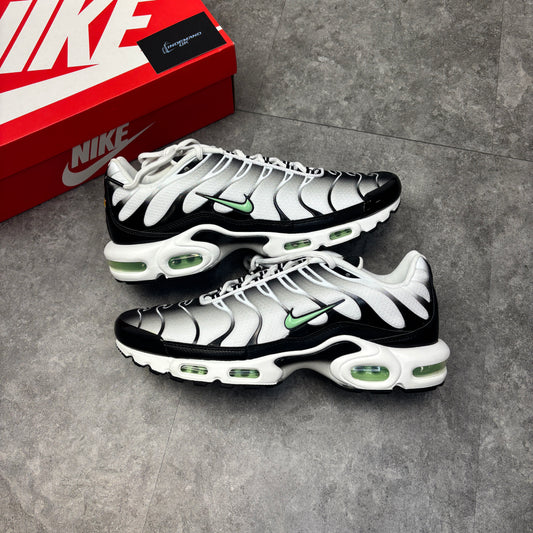 Nike Air Max TN Fresh Mints