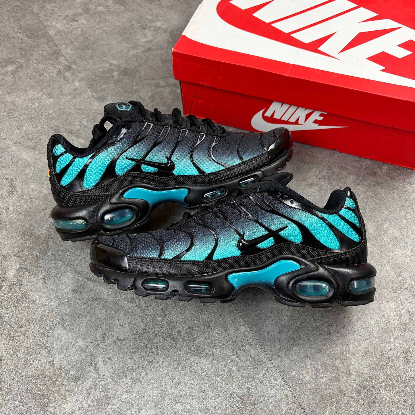 Air Max TN Dusty Cactus