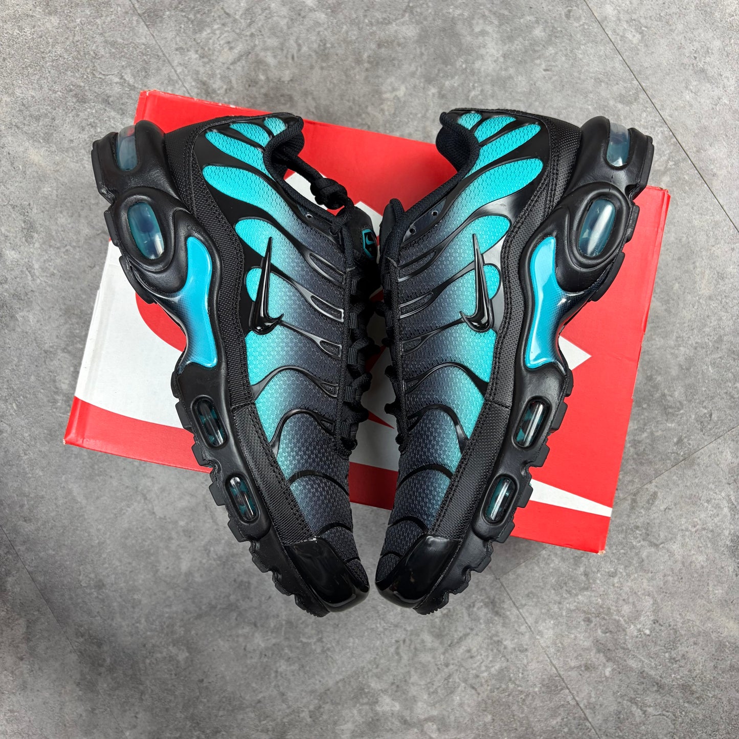 Air Max TN Dusty Cactus