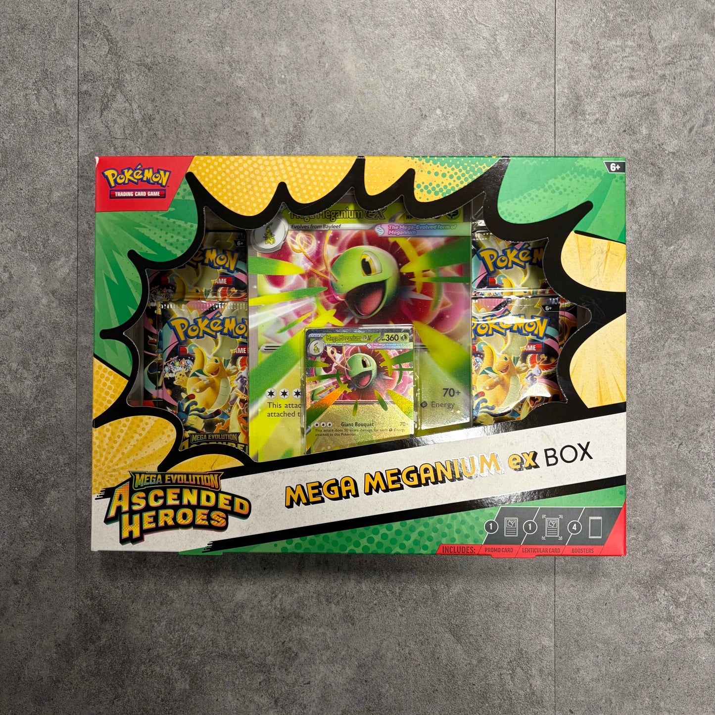 Pokemon Mega Meganium EX Box