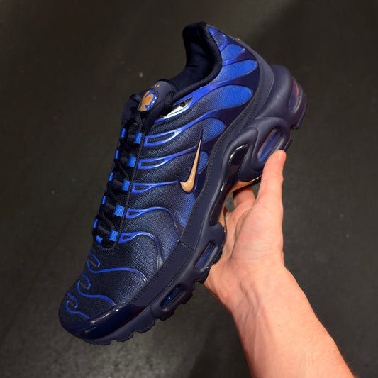 Nike Air Max TN ‘French Football Federation’