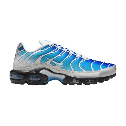 Air Max Plus TNs One Block Down Blue