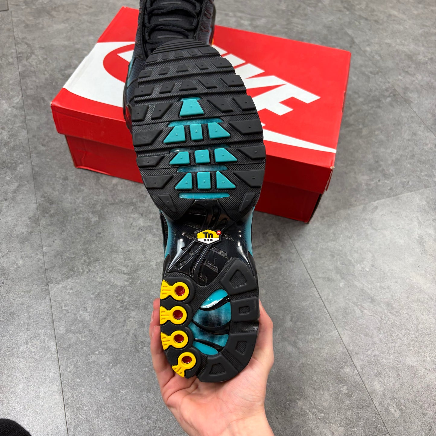 Air Max TN Dusty Cactus