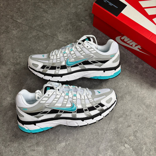 P-6000 Dusty Cactus