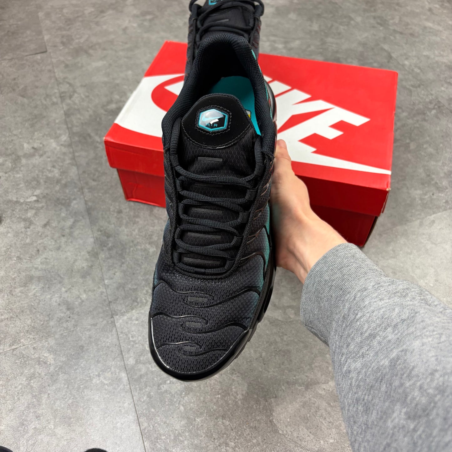 Air Max TN Dusty Cactus